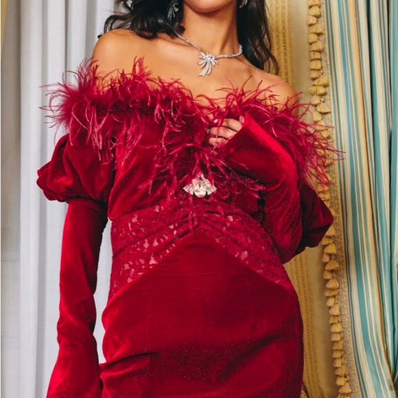 Elegant Red Velvet Dress with Feather Trim - Picture 2 of 6